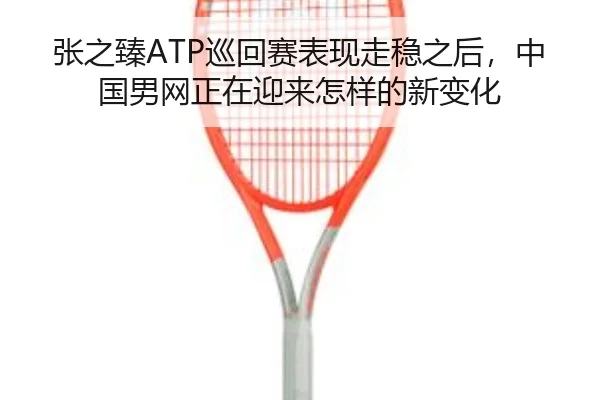张之臻ATP巡回赛表现走稳之后，中国男网正在迎来怎样的新变化